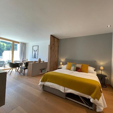 Appartement Schladming Neu Εξωτερικό φωτογραφία