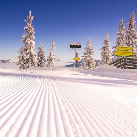 Appartement Schladming Neu Εξωτερικό φωτογραφία