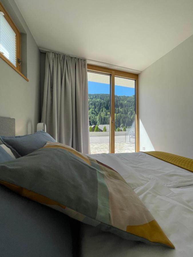 Appartement Schladming Neu Εξωτερικό φωτογραφία