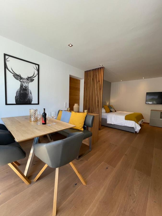 Appartement Schladming Neu Εξωτερικό φωτογραφία