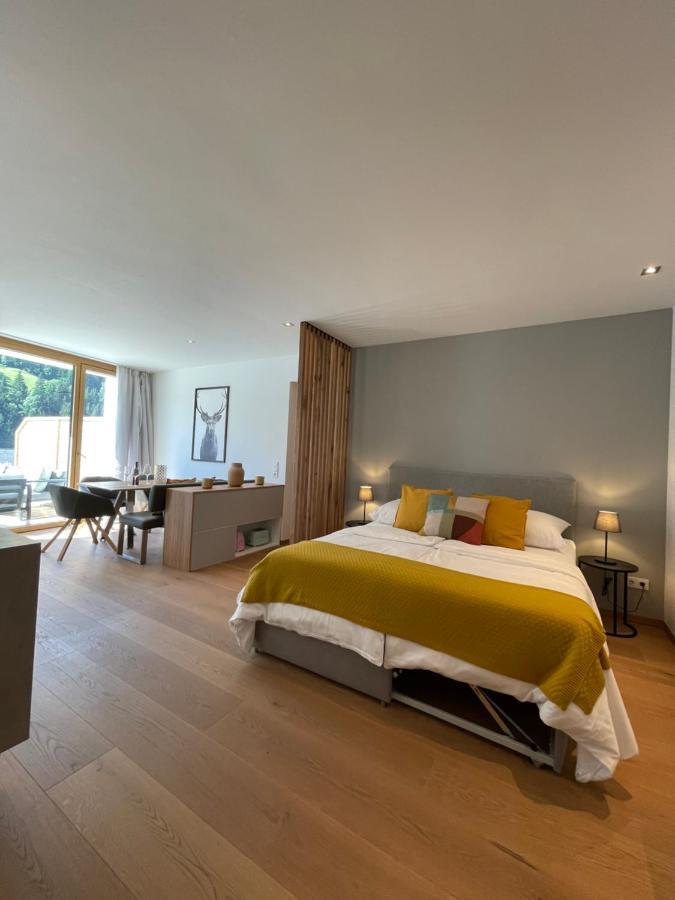 Appartement Schladming Neu Εξωτερικό φωτογραφία