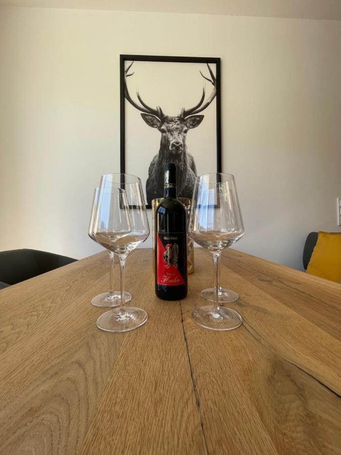 Appartement Schladming Neu Εξωτερικό φωτογραφία