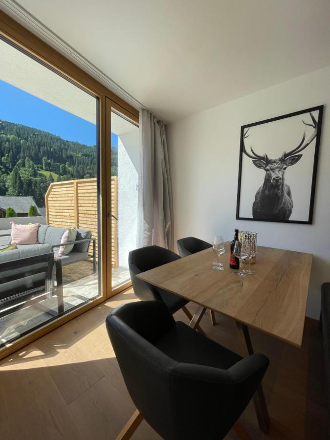 Appartement Schladming Neu Εξωτερικό φωτογραφία