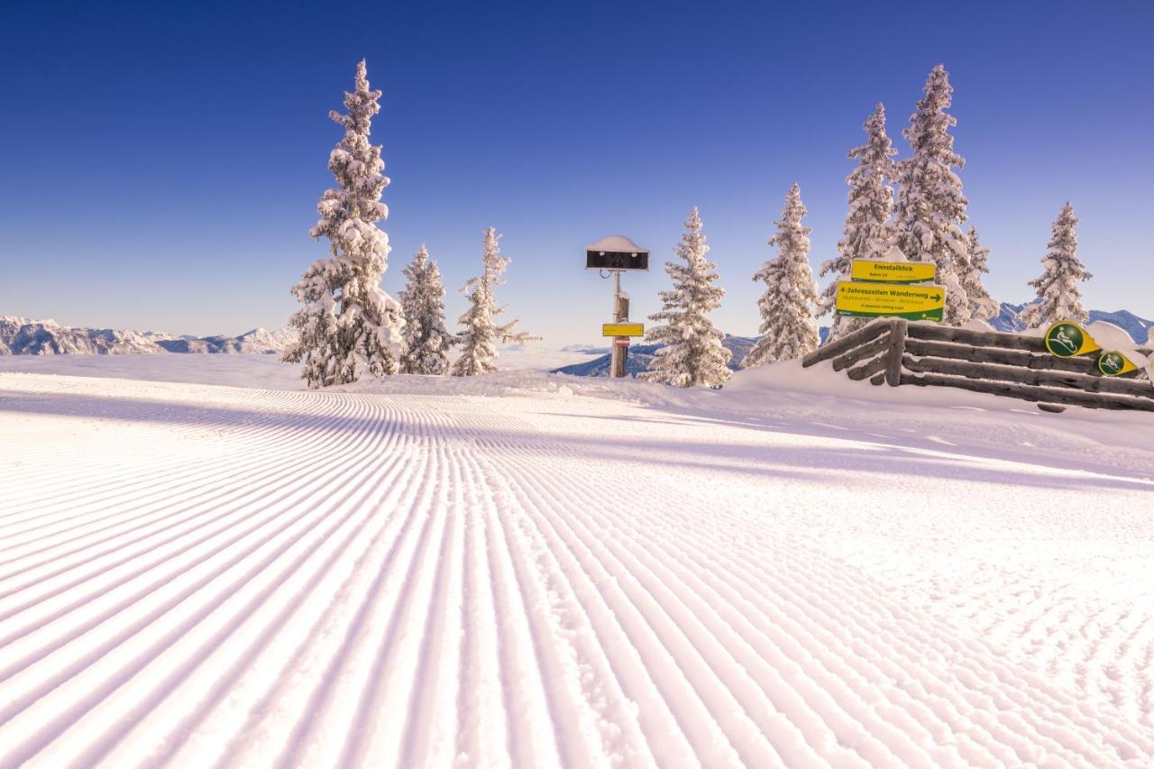 Appartement Schladming Neu Εξωτερικό φωτογραφία